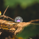 PURPLE TURKINATOR (Youth Frame Mouth Call)