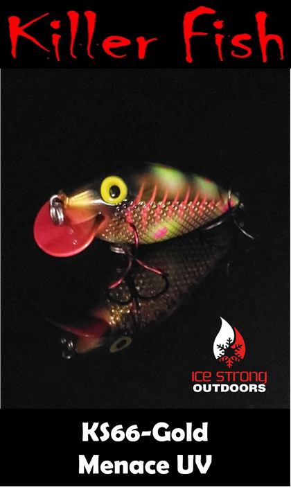 Ice Strong Outdoors - Killer Fish - Rattling Shallow Diver UV - NEW 2026 Colors Just Released!