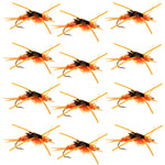 Tungsten Bead Kaufmann's Golden Stone Fly Nymph Rubber Legs - 1 Dozen Hook Size 6