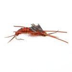 Gold Bead Kaufmann's Brown Stone Fly with Rubber Legs - Stonefly Wet Fly - 1 Dozen Flies Hook Size 6