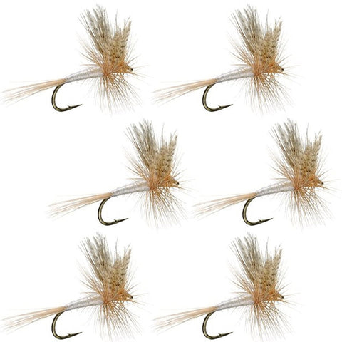 Light Cahill Classic Trout Dry Fly Fishing Flies - Set of 6 Flies Size 12