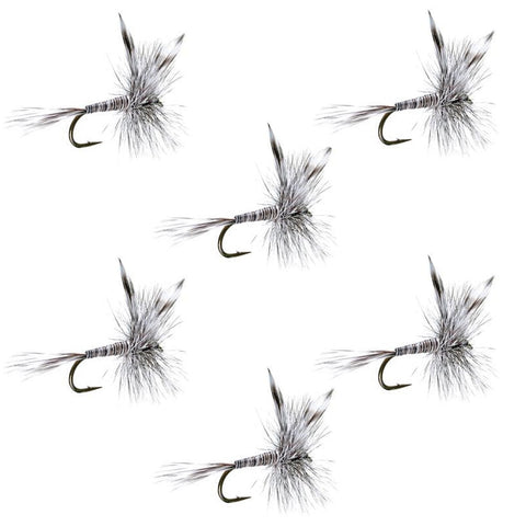 Mosquito Classic Trout Dry Fly Fishing Flies - Set of 6 Flies Size 10