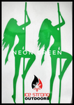 Bad Girl Flasher Stickers (2 Packs) - Various Colors