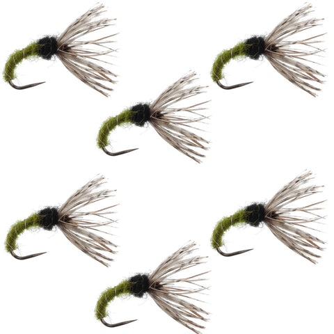 Olive Zebra Sakasa Kebari - 6 Tenkara Flies - Size 14
