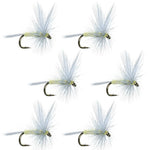 Pale Morning Dun PMD Classic Dry Fly - 6 Flies Hook Size 14