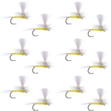 Pale Morning Dun Parachute PMD Classic Dry Fly - 1 Dozen Flies Hook Size 16