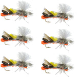 Parachute Chernobyl Ant Black Orange Foam Body Grasshopper Fly - 6 Flies Hook Size 10