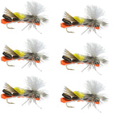 Parachute Chernobyl Ant Black Orange Foam Body Grasshopper Fly - 6 Flies Hook Size 10