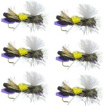 Parachute Chernobyl Ant Purple Foam Body Grasshopper Fly - 6 Flies Hook Size 10