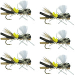 Parachute Chernobyl Ant Black Tan Foam Body Grasshopper Fly 6 Flies Hook Size 10