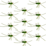 Barbless Pat's Rubber Legs Tungsten Bead Jigged Black/Chartreuse Euro Nymph  - Set of 12 Flies Hook Size 10