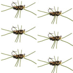 Barbless Pat's Rubber Legs Tungsten Bead Jigged  Coffee/Black Euro Nymph  - Set of 6 Flies Hook Size 10