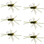 Barbless Pat's Rubber Legs Tungsten Bead Jigged Dark Olive Euro Nymph  - Set of 6 Flies Hook Size 10