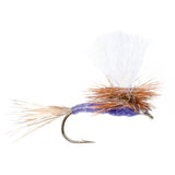 Parachute Purple Haze Dry Fly - 6 Flies Size 20