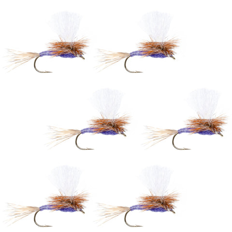 Parachute Purple Haze Dry Fly - 6 Flies Size 14