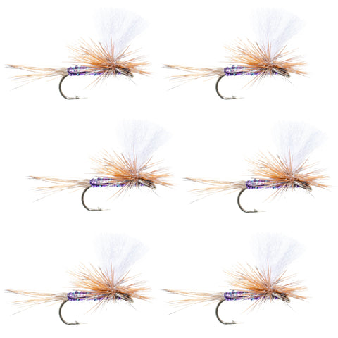 Parachute Super Flash Purple Haze Dry Fly - 6 Flies Size 16