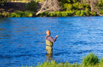 Barbless Pat's Barred Rubber Legs Tungsten Bead Jigged Coffee/Tan Euro Nymph  - Set of 6 Flies Hook Size 6