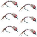 Bead Head Rainbow Warrior Nymph Fly Fishing Flies 6 Flies Hook Size 18