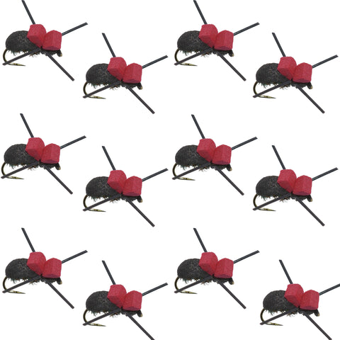 Barbless Red Top Black Foam Beetle Terrestrial Trout Dry Fly Fishing Flies - 1 Dozen Flies Size 14