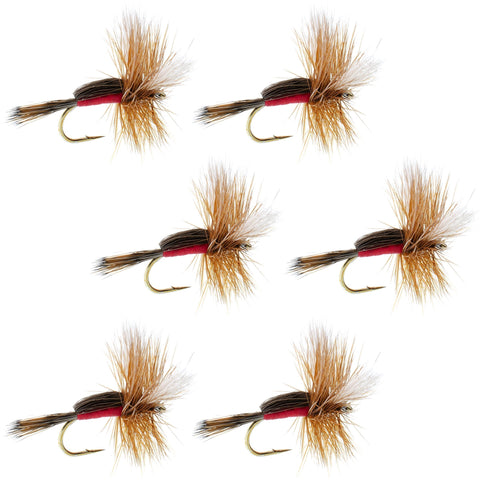 Royal Humpy Classic Hair Wing Dry Fly - 6 Flies Hook Size 8