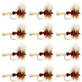 Royal Wulff Classic Trout Dry Fly Fishing Flies - Set of 12 Flies Size 14 - One Dozen