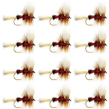 Royal Wulff Classic Trout Dry Fly Fishing Flies - Set of 12 Flies Size 10 - One Dozen