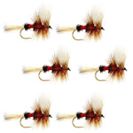 Royal Wulff Classic Trout Dry Fly Fishing Flies - Set of 6 Flies Size 10