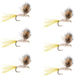 Sparkle Dun Pale Morning Dun PMD Mayfly 6 Flies Hook size 16