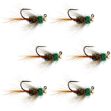 Tungsten Bead Tactical CDC Frenchie Czech Nymph Euro Nymphing Fly - 6 Flies Size 16