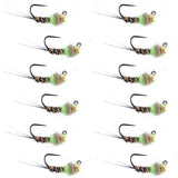 Tungsten Bead Hot Spot Pheasant Tail Tactical Jig Chartreuse Czech Nymph Euro Nymphing Fly - 1 Dozen Flies Size 18