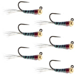 Tungsten Bead Black Perdigon Tactical Jig Czech Euro Nymph Spanish Nymphing Fly - 6 Flies Size 14