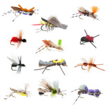 Trout Fly Assortment - Premium Terrestrial Flies - 12 Essential Hoppers, Ants and Beetles with Fly Box