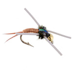 Tungsten Bead Head Rubber Legs Copper John Nymph Fly Fishing Flies - Set of 6 Flies Hook Size 12