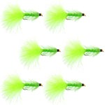 Chartreuse Bead Head Crystal Woolly Bugger Classic Streamer Flies - Set of 6 Trout Fly Fishing Flies - Hook Size 8