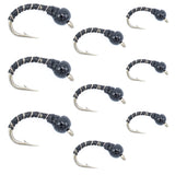 Black Zebra Midge Assortment 3 Each of 3 Sizes 14, 16, 18 - Tailwater Fly Fishing Flies Collection