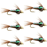 Bead Head Flash Back Pheasant Tail Nymph Fly Fishing Flies - 6 Flies Hook Size 10