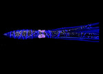 Bulb Squid 11"