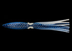Bulb Squid 11"