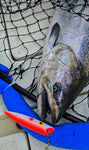NEW JUNE 2025 - Killer Fish - Rattling TROLLING PLUG UV