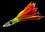 Ultimate Tuna Feathers