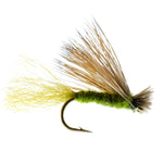 Olive X Caddis Emerging Caddis Adult Trout Dry Fly - 1 Dozen Flies Hook Size 16