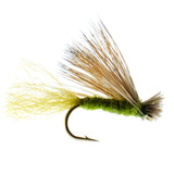 Olive X Caddis Emerging Caddis Adult Trout Dry Fly - 1 Dozen Flies Hook Size 14