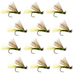 Olive X Caddis Emerging Caddis Adult Trout Dry Fly - 1 Dozen Flies Hook Size 18