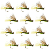 Olive X Caddis Emerging Caddis Adult Trout Dry Fly - 1 Dozen Flies Hook Size 18