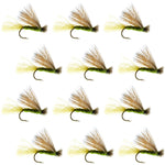 Olive X Caddis Emerging Caddis Adult Trout Dry Fly - 1 Dozen Flies Hook Size 16