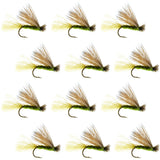 Olive X Caddis Emerging Caddis Adult Trout Dry Fly - 1 Dozen Flies Hook Size 16