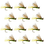 Olive X Caddis Emerging Caddis Adult Trout Dry Fly - 1 Dozen Flies Hook Size 14