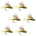 Olive X Caddis Emerging Caddis Adult Trout Dry Fly - 6 Flies Hook Size 18