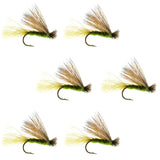 Olive X Caddis Emerging Caddis Adult Trout Dry Fly - 6 Flies Hook Size 16